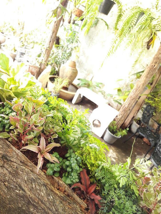 Muang Khon Guest House Nakhon Si Thammarat Exterior foto
